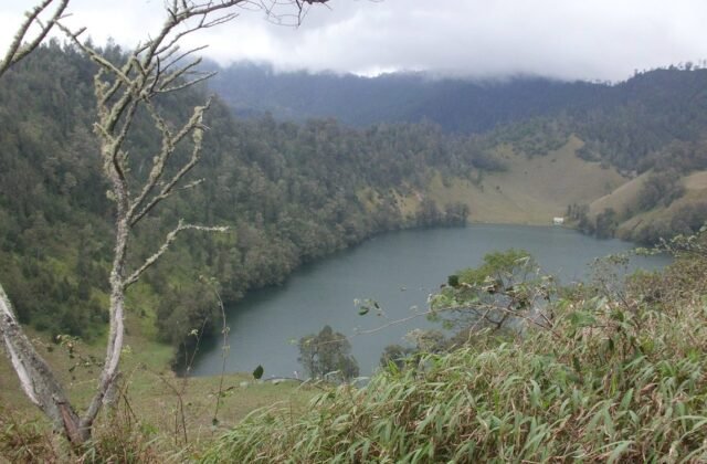 Ikon kota Lumajang